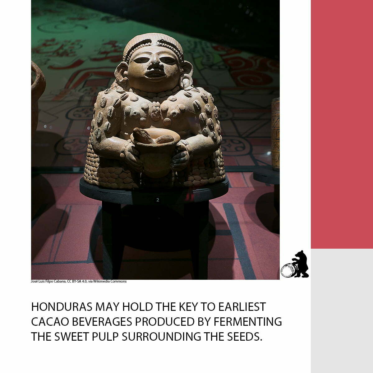 The Origin Of Cacao