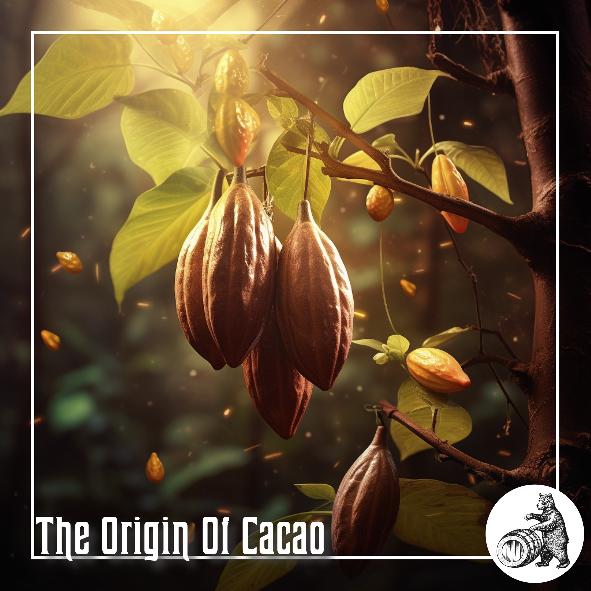 Origin Of Cacao