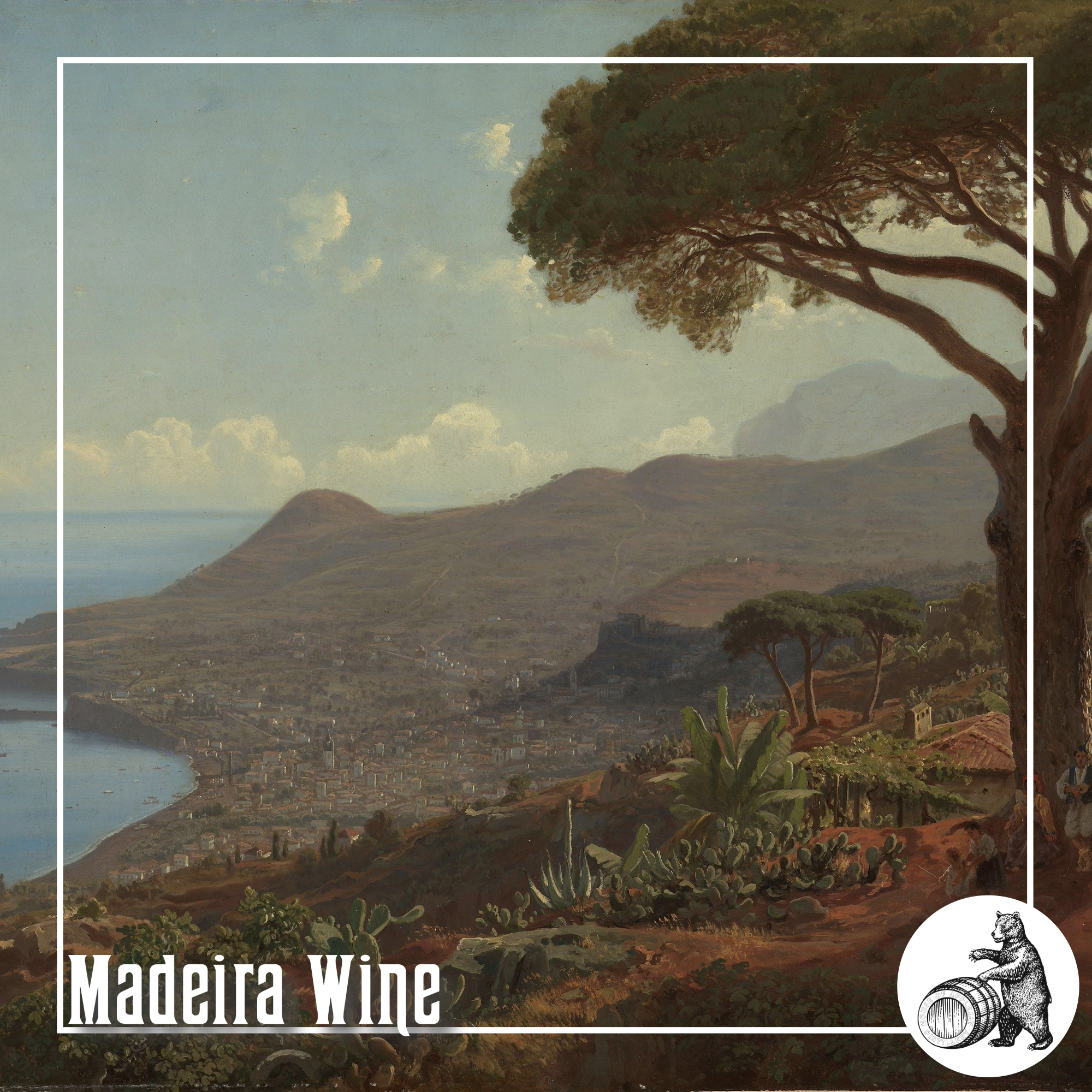 The Story of Madeira Wine