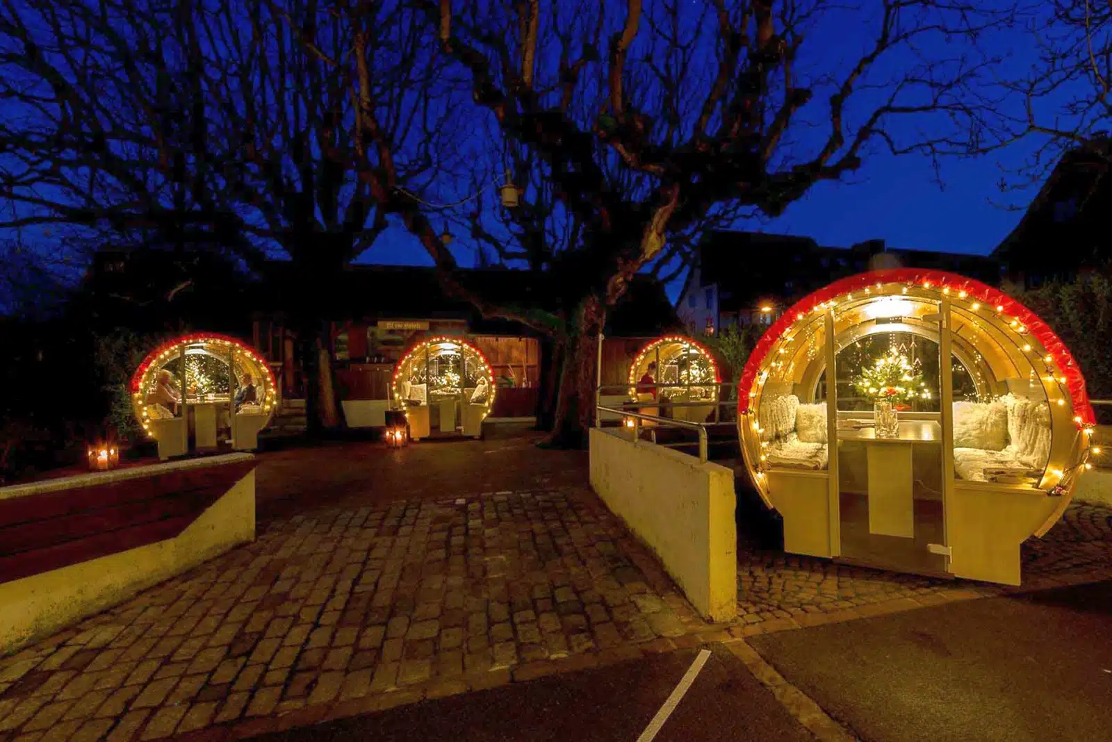 BearBarrel ConvertibleBEAR 01