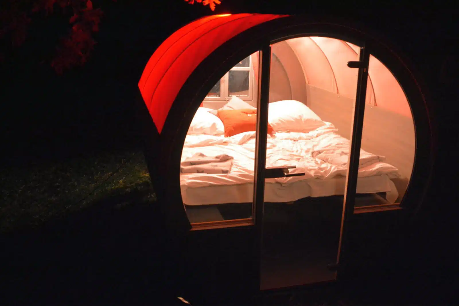 BearBarrel ConvertibleBEAR 04