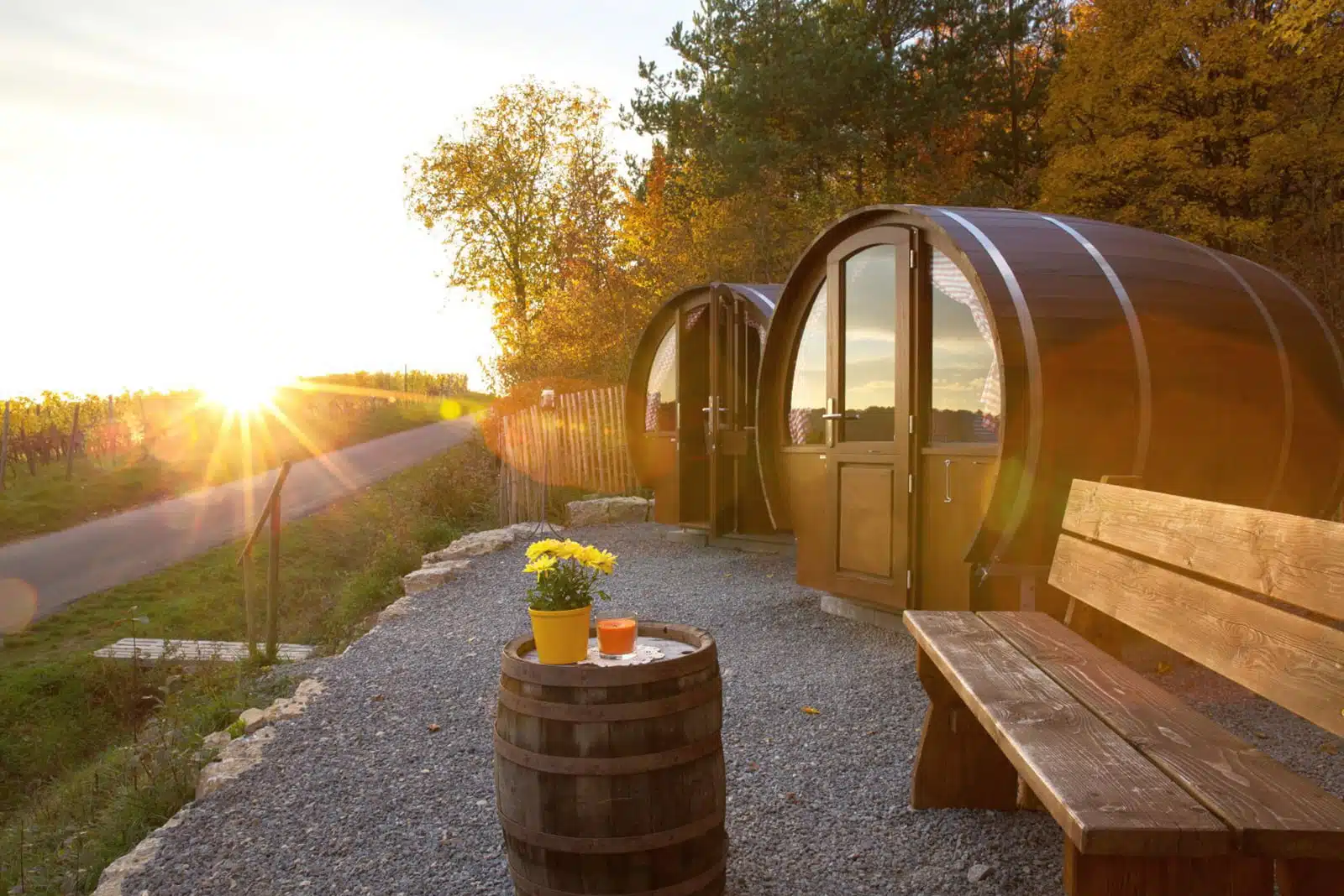 BearBarrel VineyardBEAR 010