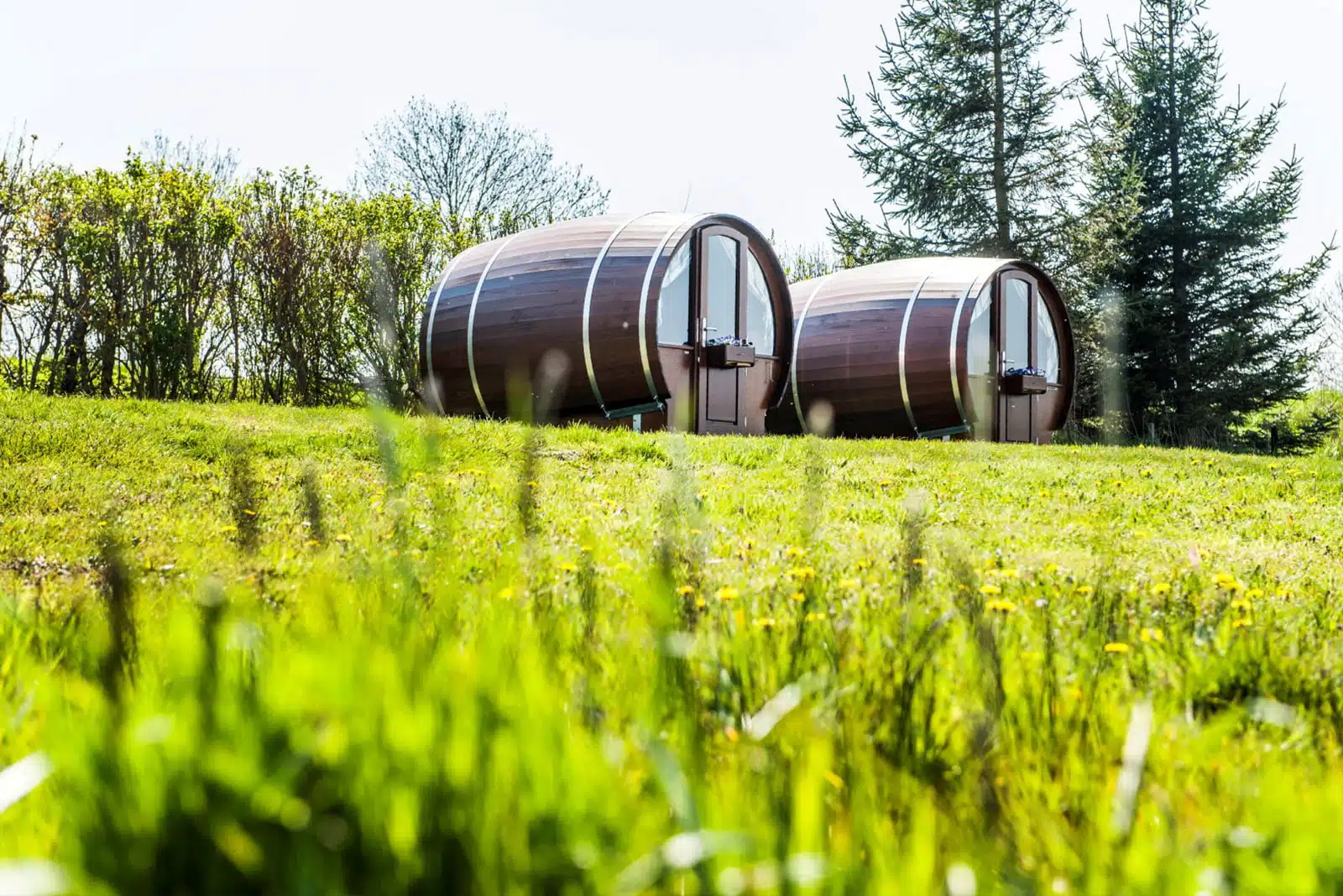 BearBarrel VineyardBEAR 011