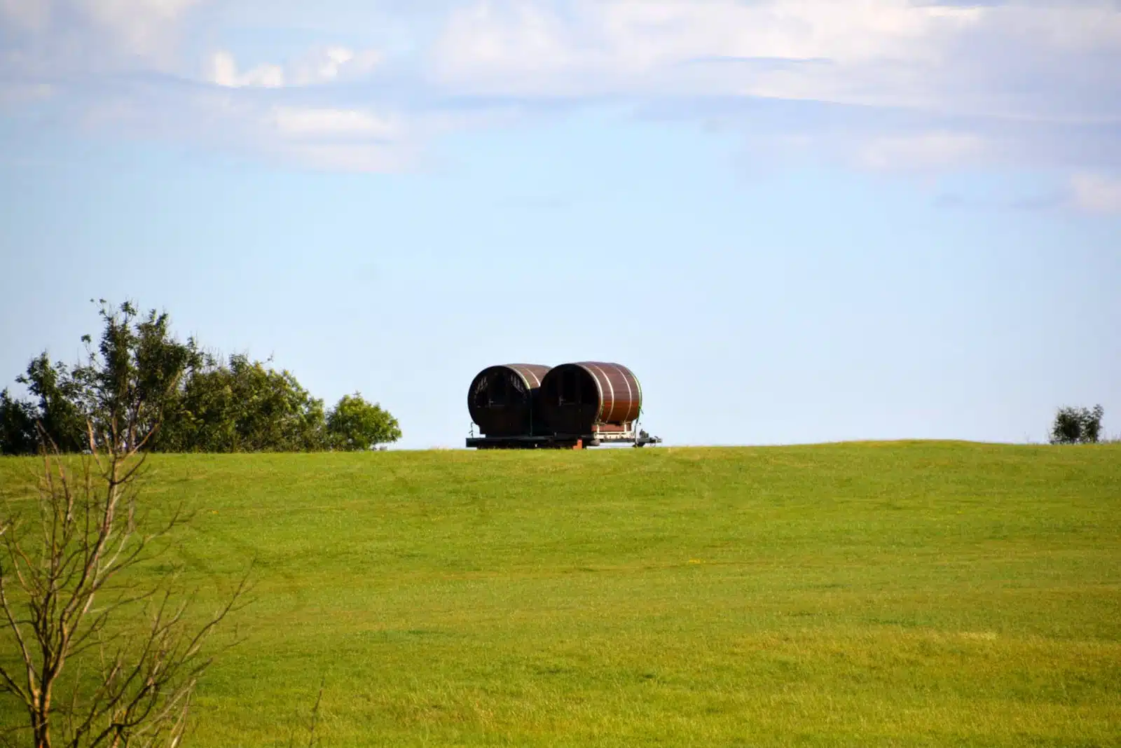 BearBarrel VineyardBEAR 03