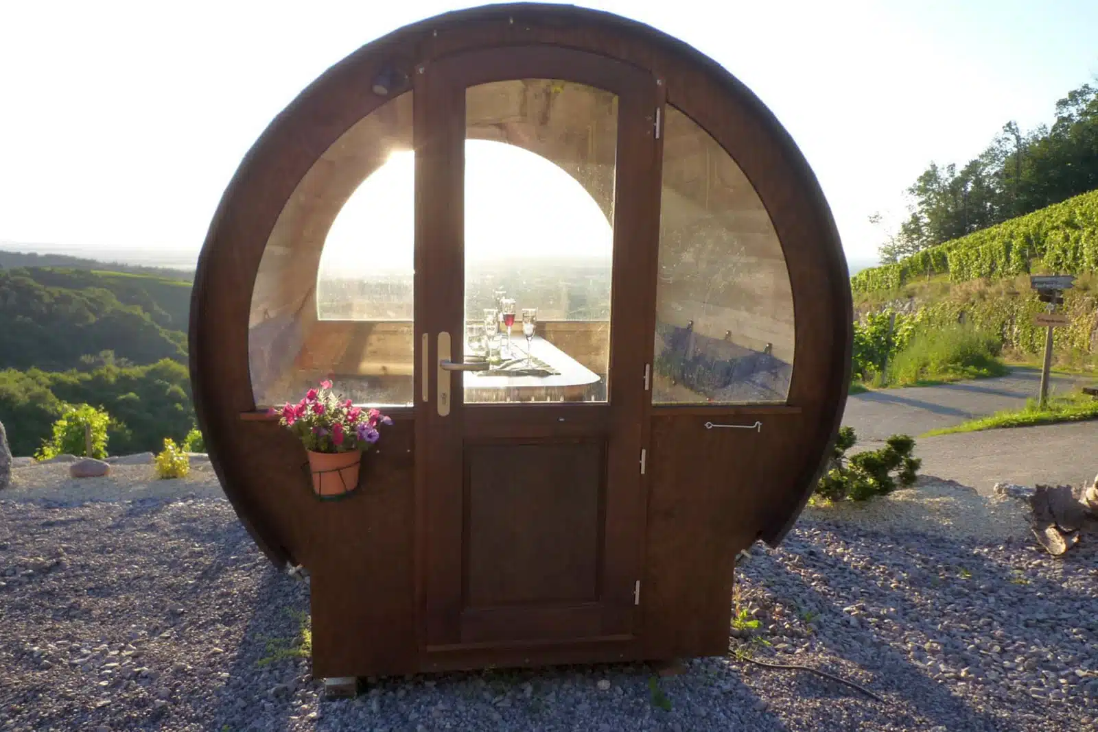 BearBarrel VineyardBEAR 06