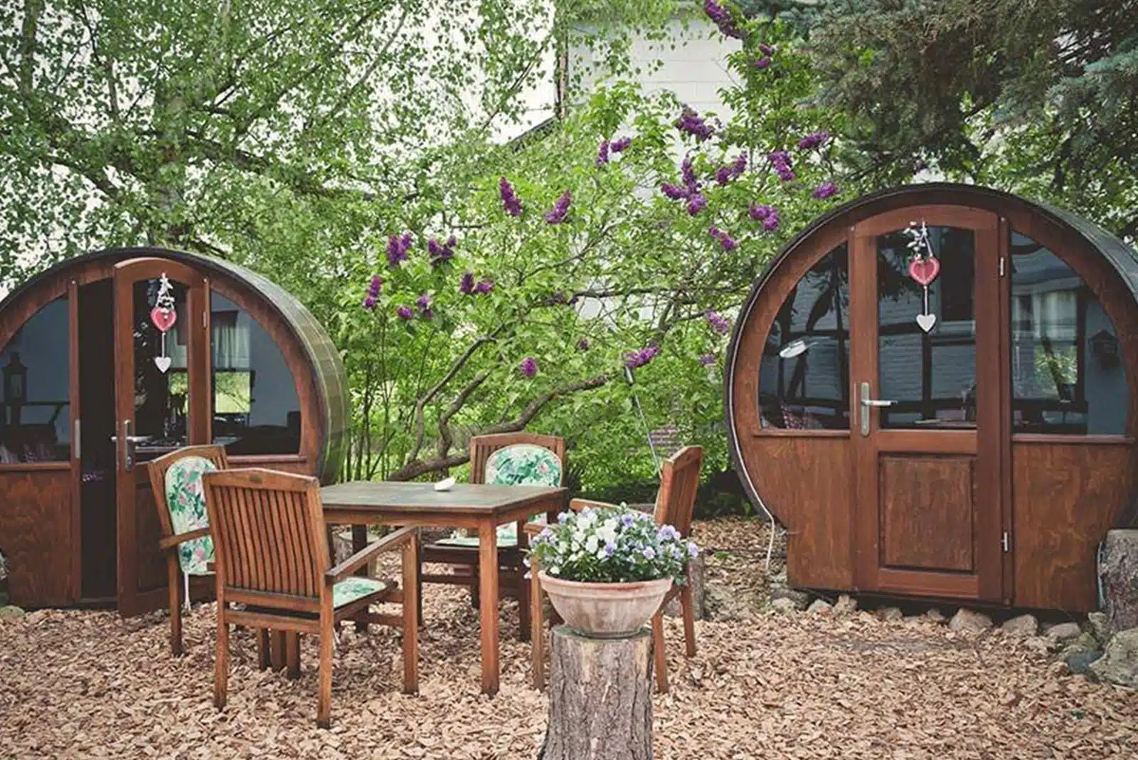 BearBarrel VineyardBEAR 08