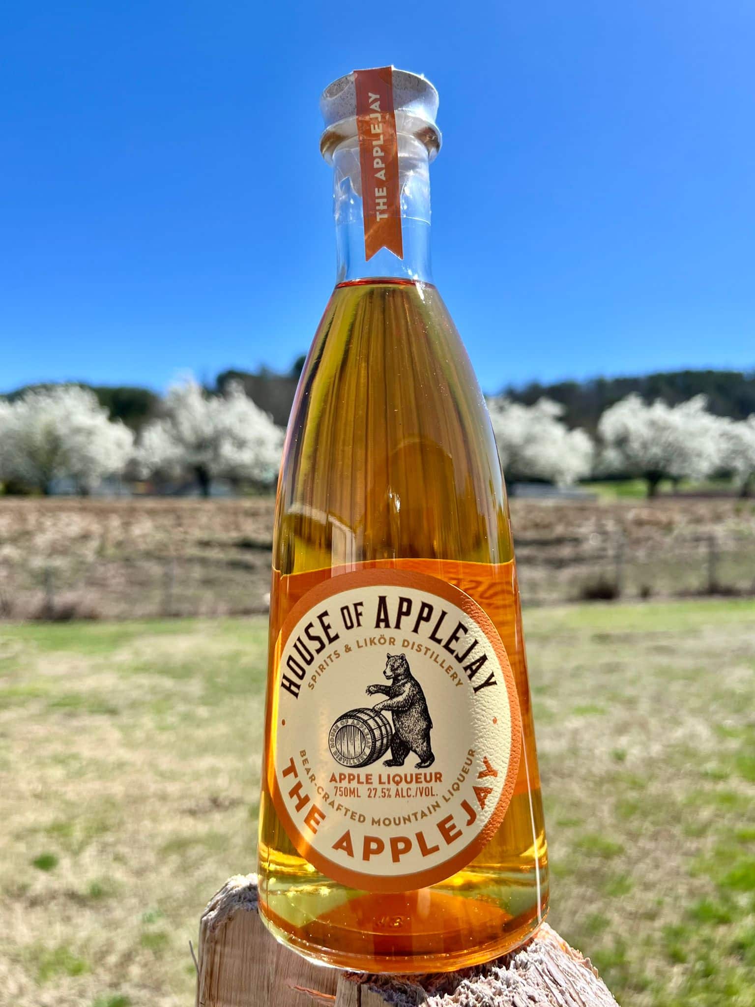 TheApplejay_HouseOfApplejay The Applejay (c) House Of Applejay, Inc.