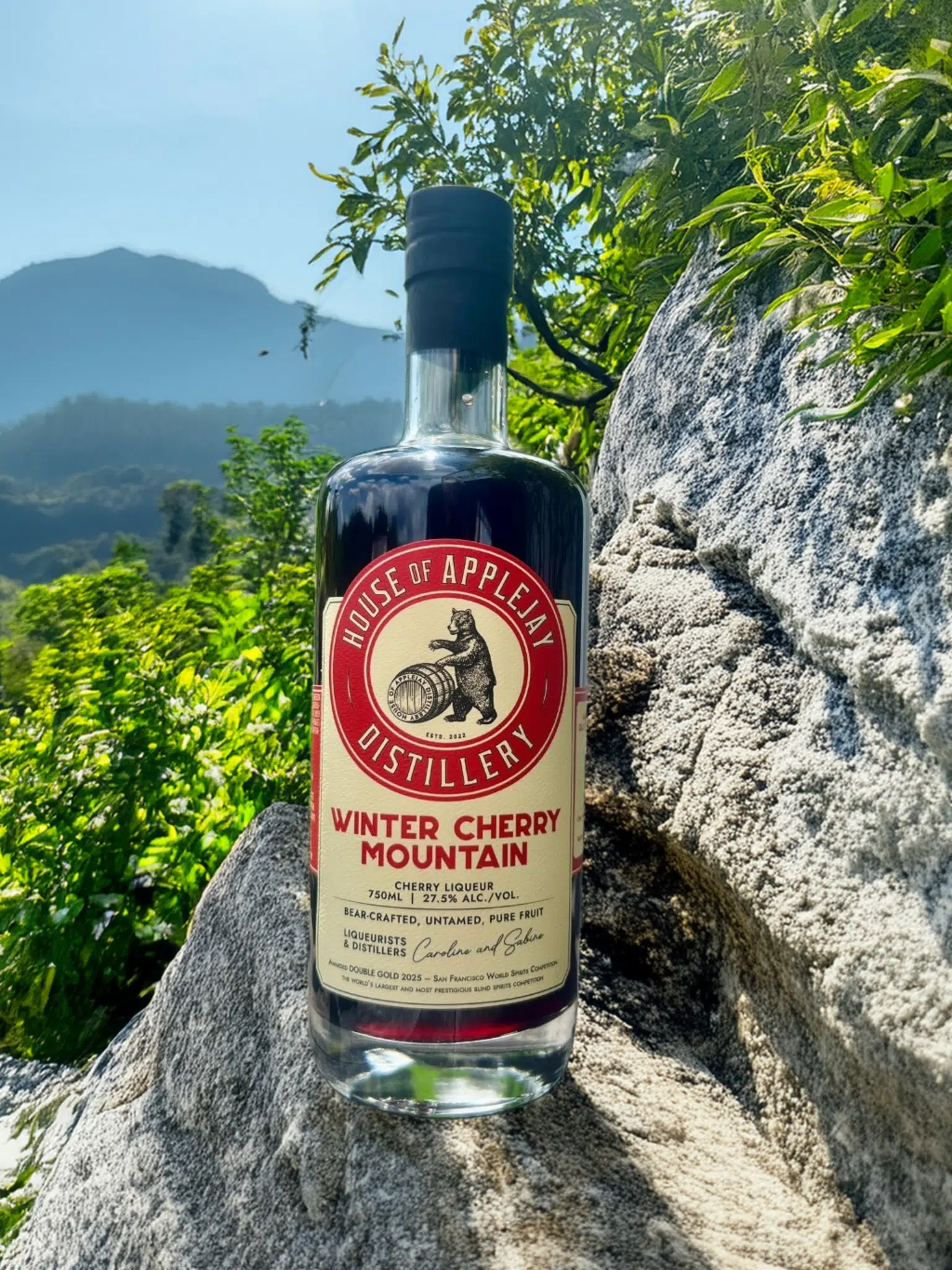 Winter Cherry Mountain (c) House Of Applejay, Inc