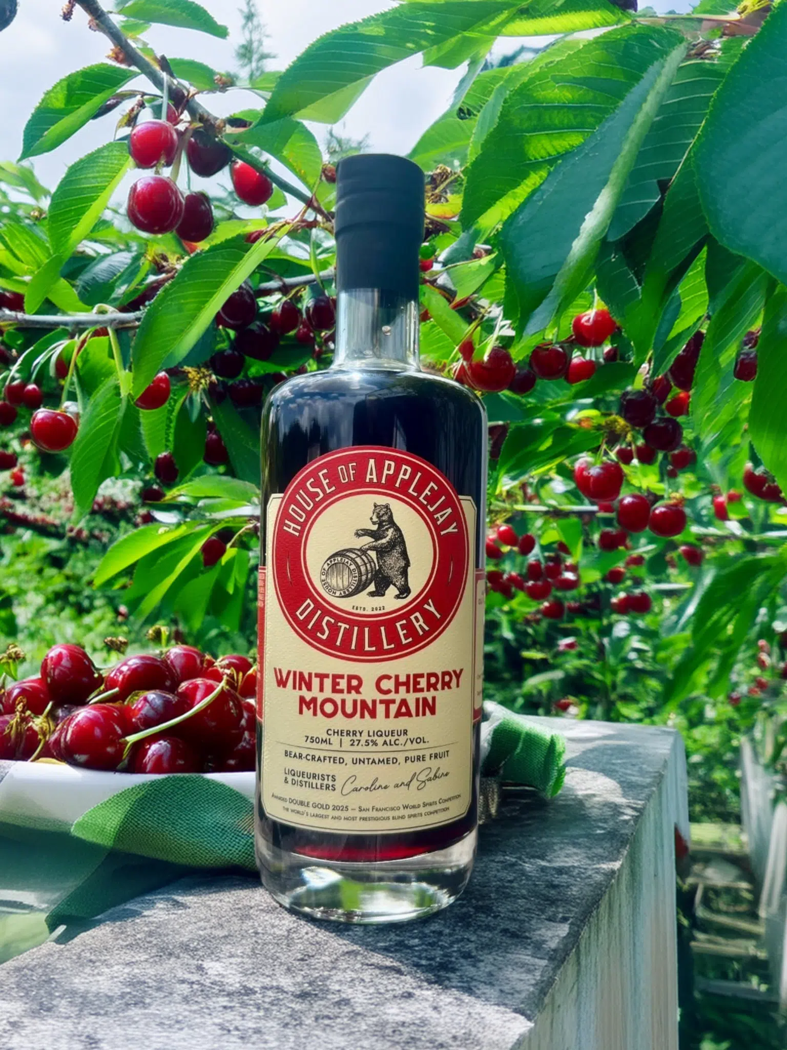 Winter Cherry Mountain  (c) House Of Applejay, Inc