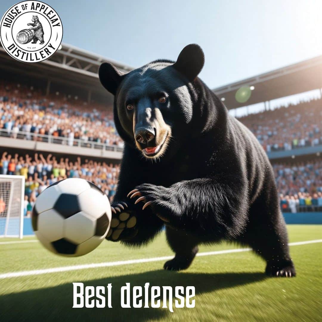 BEST DEFENSE