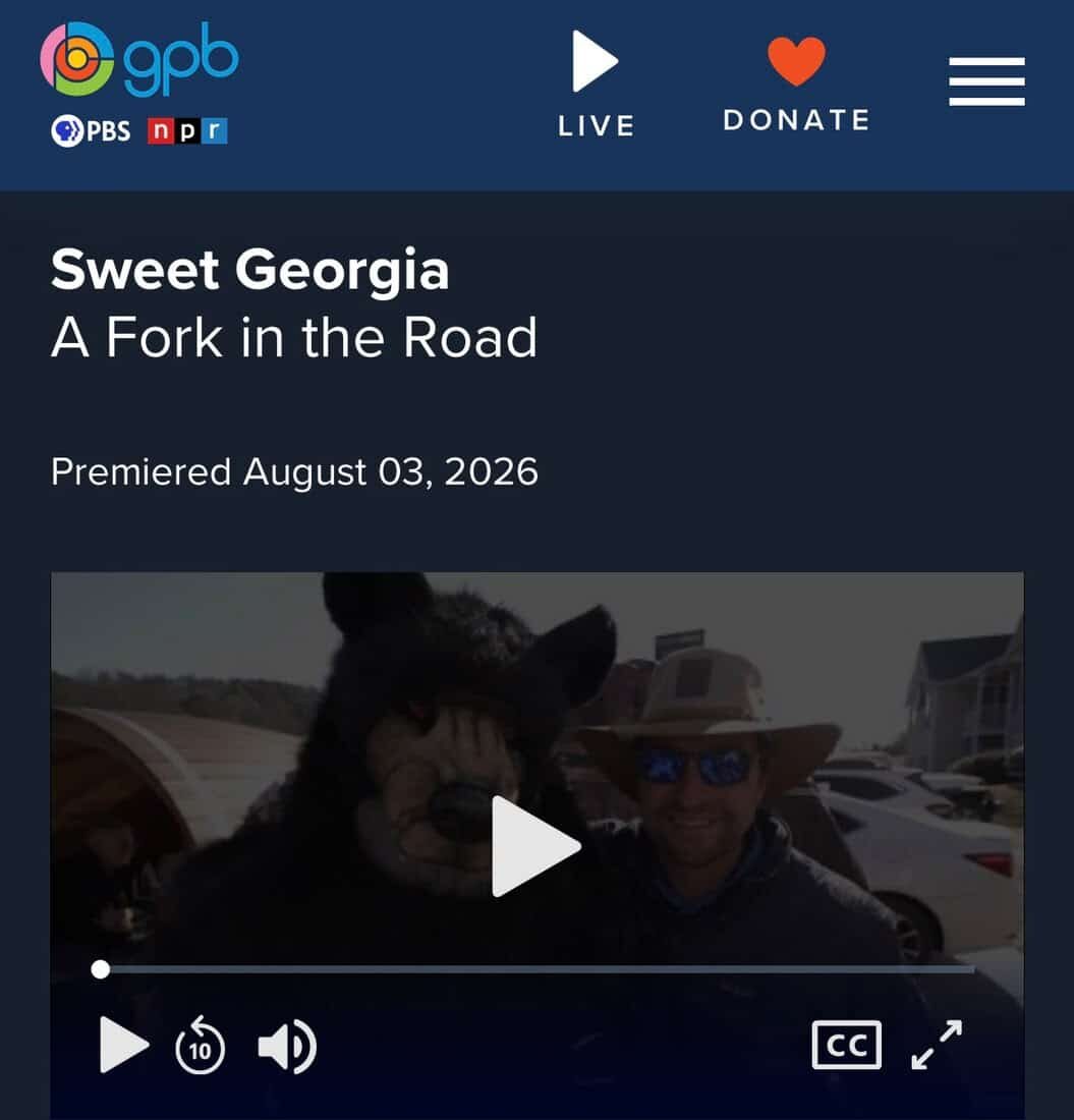 A Fork In The Road A Fork In The Road e1785872897807